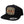 Snake Bite Snapback